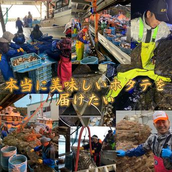 《数量限定20件!!》山六水産の２年貝【5kg】ヘラ付 5ｋ 魚介類/ホタテ通販