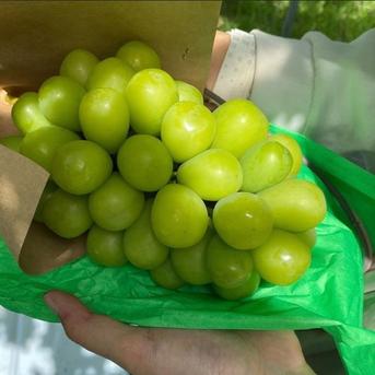 7️⃣ 山梨県産 種無あづましずく9房入り 箱込み5キロ 伊東農園