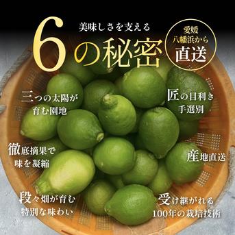 けんさんグリーンレモン　璃の香　家庭用10kg 皮まで食べられる】グリーンレモン 10kg 防腐剤・ワックス不使用