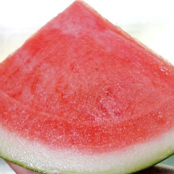 【予約受付】甘～い大玉すいか 種のない(少ない)ブラックジャック Lサイズ 1玉 山形県産【旬祭限定】 甘～くおいしい大玉すいかブラックジャック Ｌサイズ  1玉 果物/スイカ通販