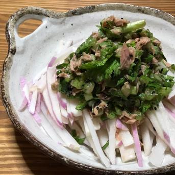 [冷蔵便]7つのお任せ野菜×2倍量！農薬・化学肥料不使用の野菜セット🥬 7つのお任せ×2倍量 野菜/野菜セット・詰め合わせ通販