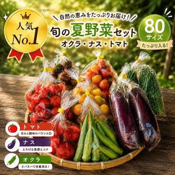 人気No.1】無農薬 夏野菜メガ盛りお楽しみ箱 80サイズ ｜ 野菜/野菜
