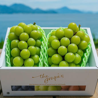 翠の饗宴 岡山産シャインマスカット二房セット | 果物/ぶどう 産直