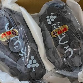 やまたか農園の「種無し巨峰」約2㎏ 約2㎏ 果物/ぶどう通販