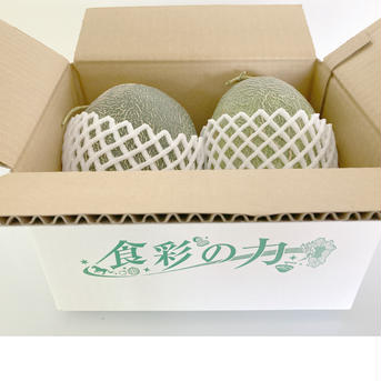 【訳あり家庭用】　肥後グリーン メロン 　2玉入り　2kg以上　ご家庭用 贈答用不可 箱込み　2玉入り　2kg以上 果物/メロン通販