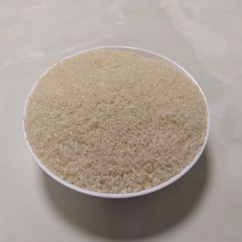 6周年限定】2025年産うるち米（キヌヒカリ）4.0kg 白米 ｜ 米・穀物/米 