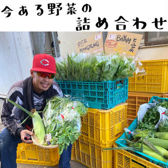 ワクワク😆！ワカイファーミーの新鮮お野菜ボックス❣️ 野菜の詰め合わせ(2500円) 野菜/野菜セット・詰め合わせ通販
