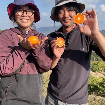 ジューシー！島風みかん🍊【農薬不使用】10キロ愛媛県大三島産 ｜ 果物