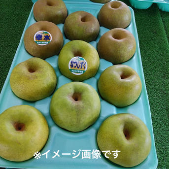 幸水・なつしずくミックス箱 3kg【贈答品】8月発送！ 3㎏箱　6～9個入り 果物/梨通販