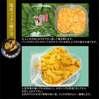 塩水生うに(キタムラサキウニ)100g×5個入 礼文島産 【送料無料】 100g×５個 魚介類/ウニ通販