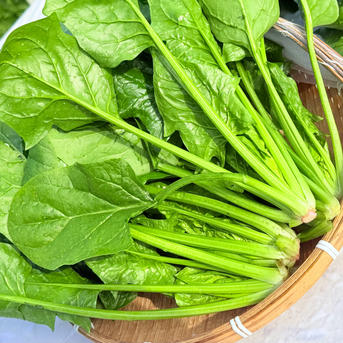 ほうれん草 20kgファーム ほうれん草 20kg ファーム 様専用