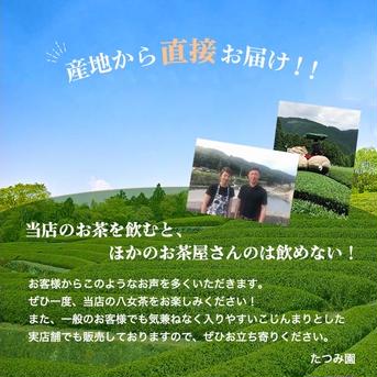 リピーター様続出してます𓂃◌𓈒𓐍八女茶お得用1袋300g 300g お茶/緑茶通販
