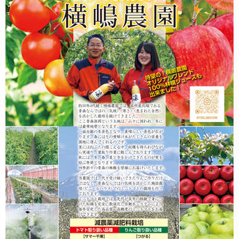 訳ありミニトマト🍅キャロルムーン🍅 ミニトマト2kg 野菜/トマト通販