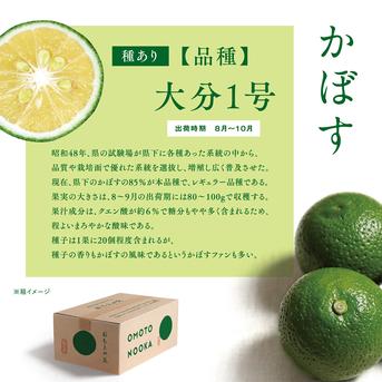 【お徳用・訳あり品】大分県宇佐市産かぼす約10kg 徳用種ありかぼす10kg 果物/香酸柑橘(ライム・レモン等)通販