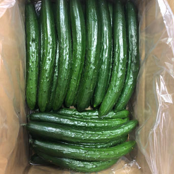 丸山農園詰め合わせBOX 3キロ 野菜/野菜セット・詰め合わせ通販