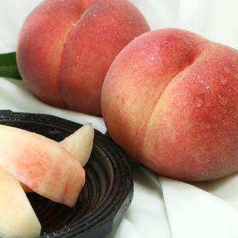 硬桃ファンの皆様へ】美晴白桃 【訳あり品お得品】 ｜ 果物/もも 産直
