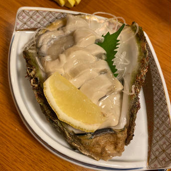 【天然】岩牡蠣　和歌山産　中サイズ10個 中サイズ10個 魚介類/牡蠣通販