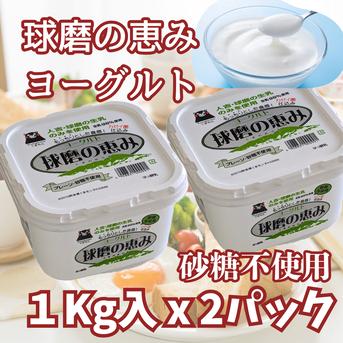 球磨の恵みヨーグルト（砂糖不使用）2Kg | 乳製品/その他乳製品 産直