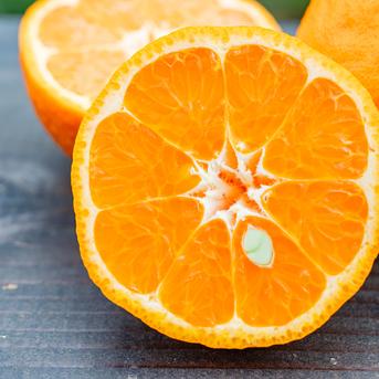 ポンポン様9【2021】ぷー シトリン  在庫セール シナモンロール×チョコの背徳感…「シナボン」から3種セット | Lmaga.jp