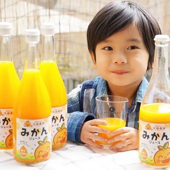 🍊選べるギフトセット🍊てんちゃんジュース てんちゃん　720ml×1 飲料/ジュース通販
