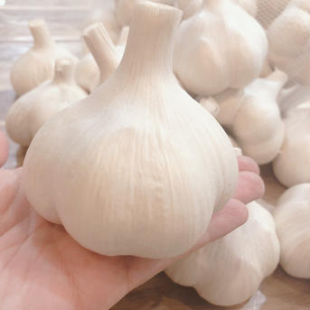 【3周年限定】『大きすぎてごめんなさい』青森県産✨超特大のバラにんにく1キロ🧄➕おまけ付き 特大バラにんにく1キロ 野菜/にんにく通販