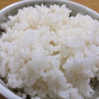 ヒノヒカリ 令和7年秋 10kg ｜ 米・穀物/米/精米 産直アウル 農家 