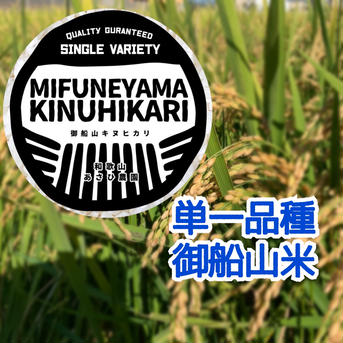 【令和4年度】新米˚✧〔キヌヒカリ〕白米 5kg 冷めても美味しい！ 白米　5kg 米・穀物/米/精米通販