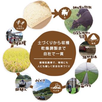 あっさり派に】食べ飽きない軽やかな味わい｜あきさかり玄米20kg ｜ 米