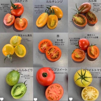 龍宮トマ手箱＆訳あり人参 1キロ +α 野菜/トマト通販