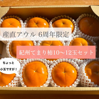 6周年限定】送料500円引き🍂 極上果汁！ 紀州てまり（柿）🟠✨ちょい