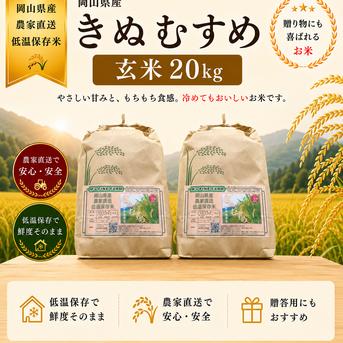 2026年 岡山県産 きぬむすめ 20kg 玄米 ｜ 米・穀物/玄米 産直アウル