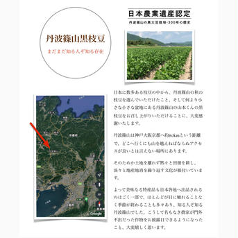 '23年丹波篠山黒枝豆の解禁期さや3.0kg  10月9日(月)〜10月15日(日)順次発送 さや600g×5袋=3.0kg 野菜/枝豆通販