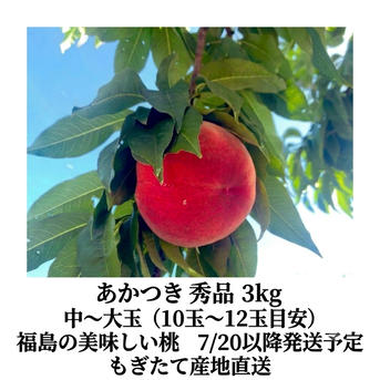 朝採り新鮮】産地直送 福島県産 桃 あかつき 秀品 約3kg 10〜12玉 ご