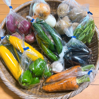 【限定】旬のたっぷり夏野菜セット（クール便） 80サイズ【夏野菜5~7品目】 野菜/野菜セット・詰め合わせ通販