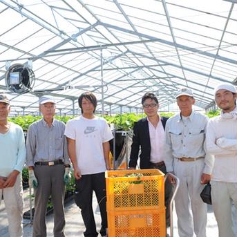 ★安心保証付き★ご家庭用サイズ混合　約7パック分の山盛りいちご 2kg 果物/いちご通販