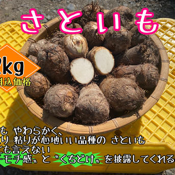 【四国 九州 本州のお客様用】【★☆門外不出！あの高級里芋☆★／えひめ産】里芋さといも野菜やさいサトイモ 2.0kg 野菜/里いも通販