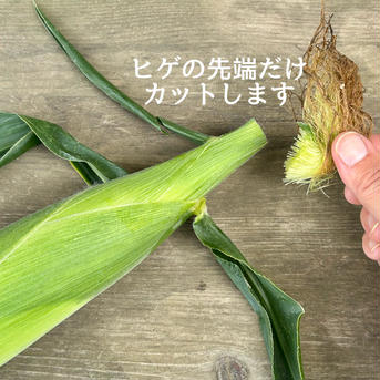 (20本入)信州産｜生糖もろこし｜瑞々しく甘いフルーツコーン 生糖もろこし20本入 野菜/とうもろこし通販