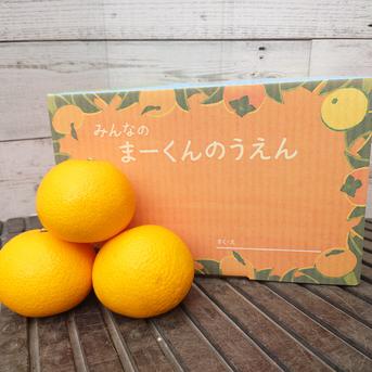 八朔好き様から人気のまーくん家人気のはっさく(´ｰ｀) 5キロ箱 果物/オレンジ・その他みかん通販