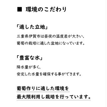 紺ギフトダイヤ　葡萄　ぶどう　粒ぶどう　お中元　ご褒美　贈答用　贈り物　ギフト　にん忍葡萄園　※ご購入から１日～３日以内に発送 三個 約900g(一個 約300g) 果物/ぶどう通販