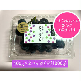 きのこ屋さんがつくったぶどう ぶどう400gパック×2(計800g) 果物/ぶどう通販