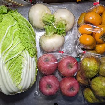 日替わりボックス7.7kg 約7.7kg 野菜/野菜セット・詰め合わせ通販