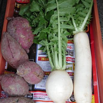【お試し】農家が食べる野菜（お試しセット） 400g(重量は最低限の重さです) 野菜/野菜セット・詰め合わせ通販