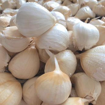 新春セール❗️50g増量❗️】青森バラにんにく2.5キロ（サイズ混合