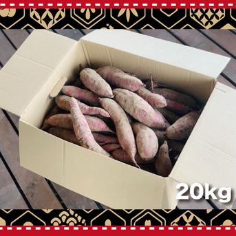 【茨城県産】　さつまいも　ありがとうの紅はるか　中サイズ【約20kg】 20kg（中サイズ） 野菜/さつまいも通販