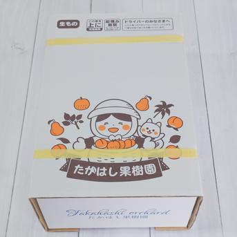 大きくて甘い桃 なつっこ L玉以上 約2.5kg【クール便】 ｜ 果物/もも