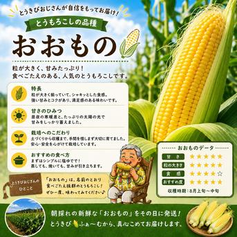 2027年8月予定】生が甘くて美味しい 新鮮『横濱とうもろこし』 10本