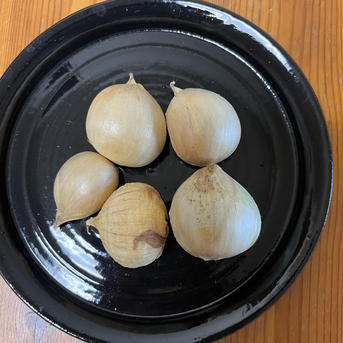 ジャンボにんにく　小さめ 当園のジャンボの中で「小さめ」商品 野菜/にんにく通販