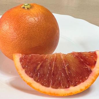 無農薬　ブラッドオレンジ（モロ）1.8kg 1.8kg 果物/オレンジ・その他みかん通販