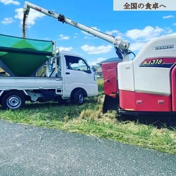 令和8年産 岡山県産 にじのきらめき 20kg 玄米 ｜ 米・穀物/玄米 産直