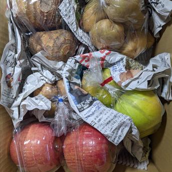 訳ありボックス8.2kg 約8.2kg 野菜/野菜セット・詰め合わせ通販